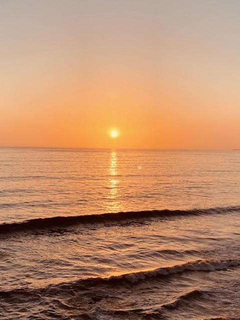 Beachfront Condo Close Puerto Nuevo, Papas, And Valle De Guadalupe ロサリト エクステリア 写真